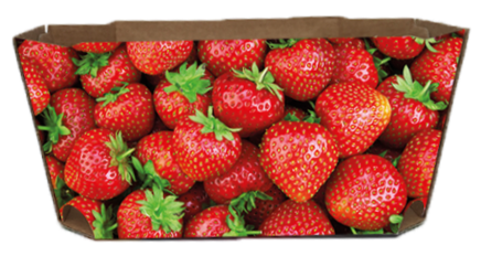 strawberry design